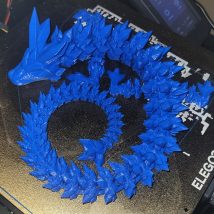 Dragon 1